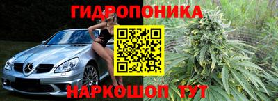 прущие грибы Можайск