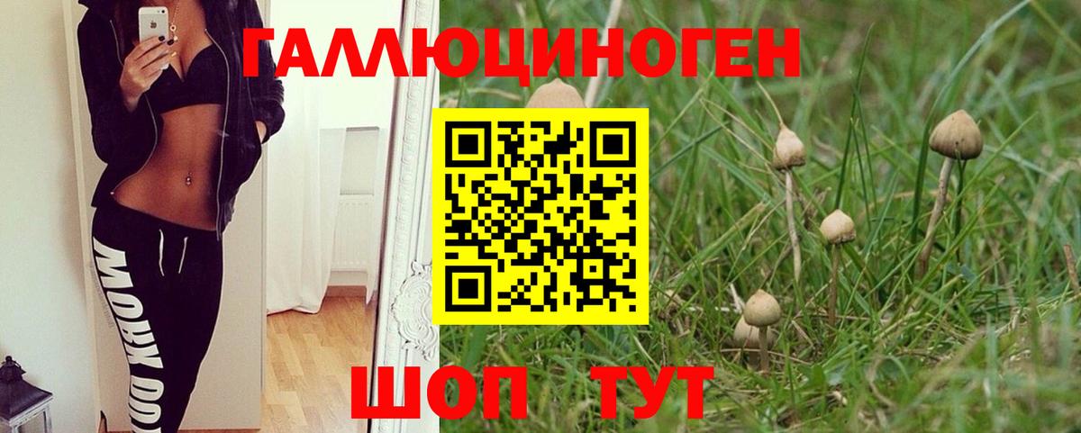 Галлюциногенные грибы GOLDEN TEACHER Ульяновск
