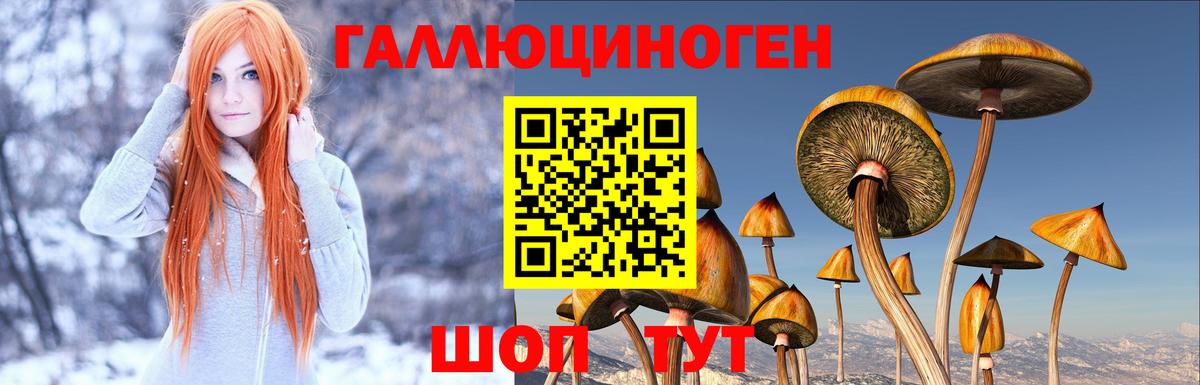 Ульяновск  Галлюциногенные грибы прущие грибы  наркота  Вход с VPN 